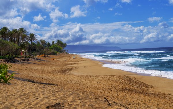 Ehukai Beach Park