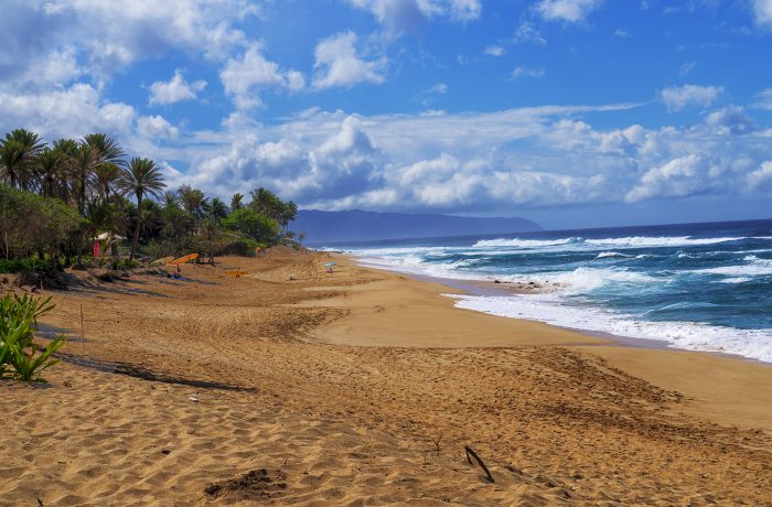 Ehukai Beach Park