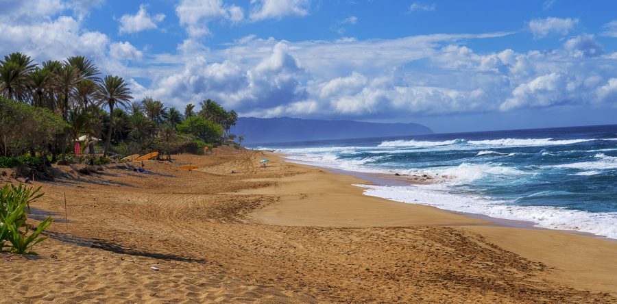 Ehukai Beach Park