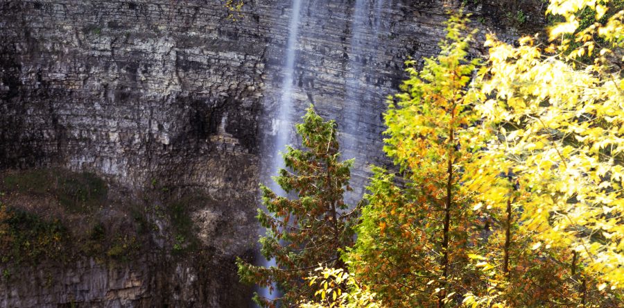 Standing in Amazement