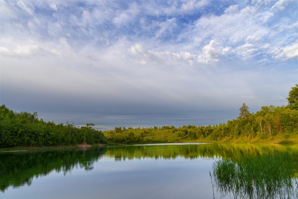 Forks of the Credit Morrison Images